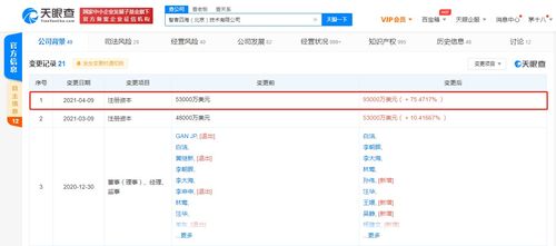 關(guān)聯(lián)公司注冊(cè)資本大幅提升至9.3億美元，增幅超75.47%，聚焦技術(shù)咨詢與技術(shù)服務(wù)領(lǐng)域